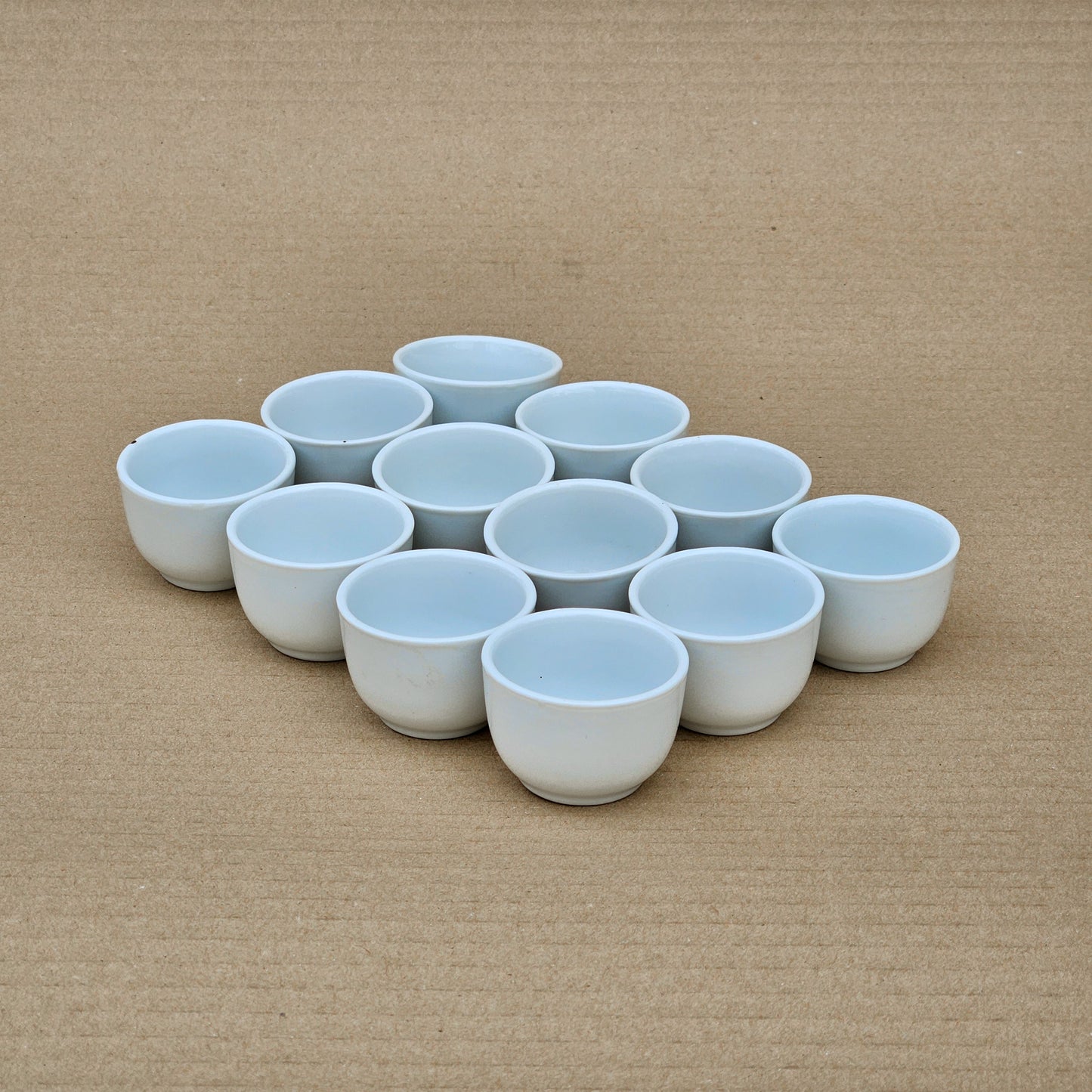 Pack 12 maceteros Microbowl (tipo souvenir)