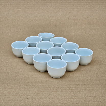 Pack 12 maceteros Microbowl (tipo souvenir)