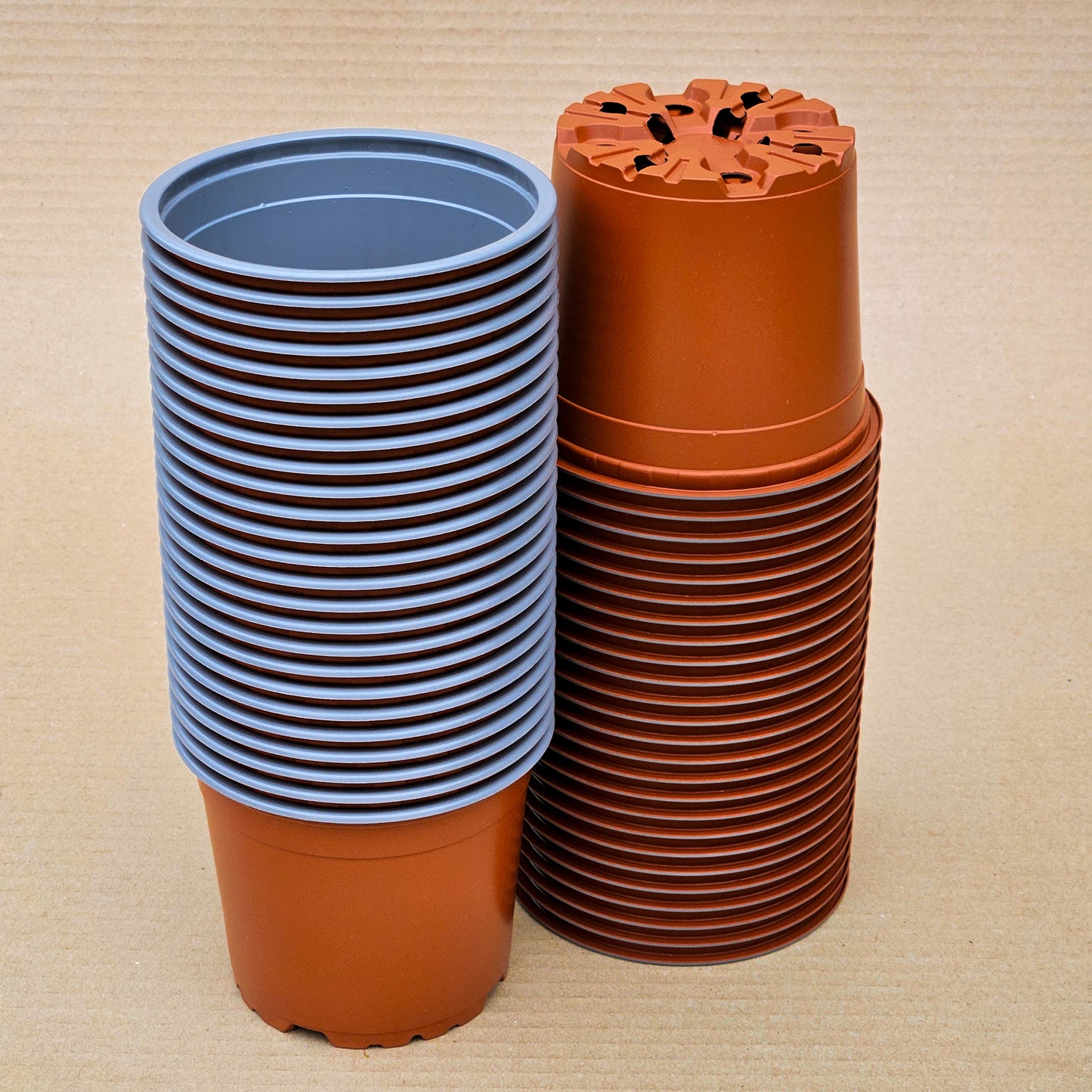 Pack 50 maceteros VCG N°12