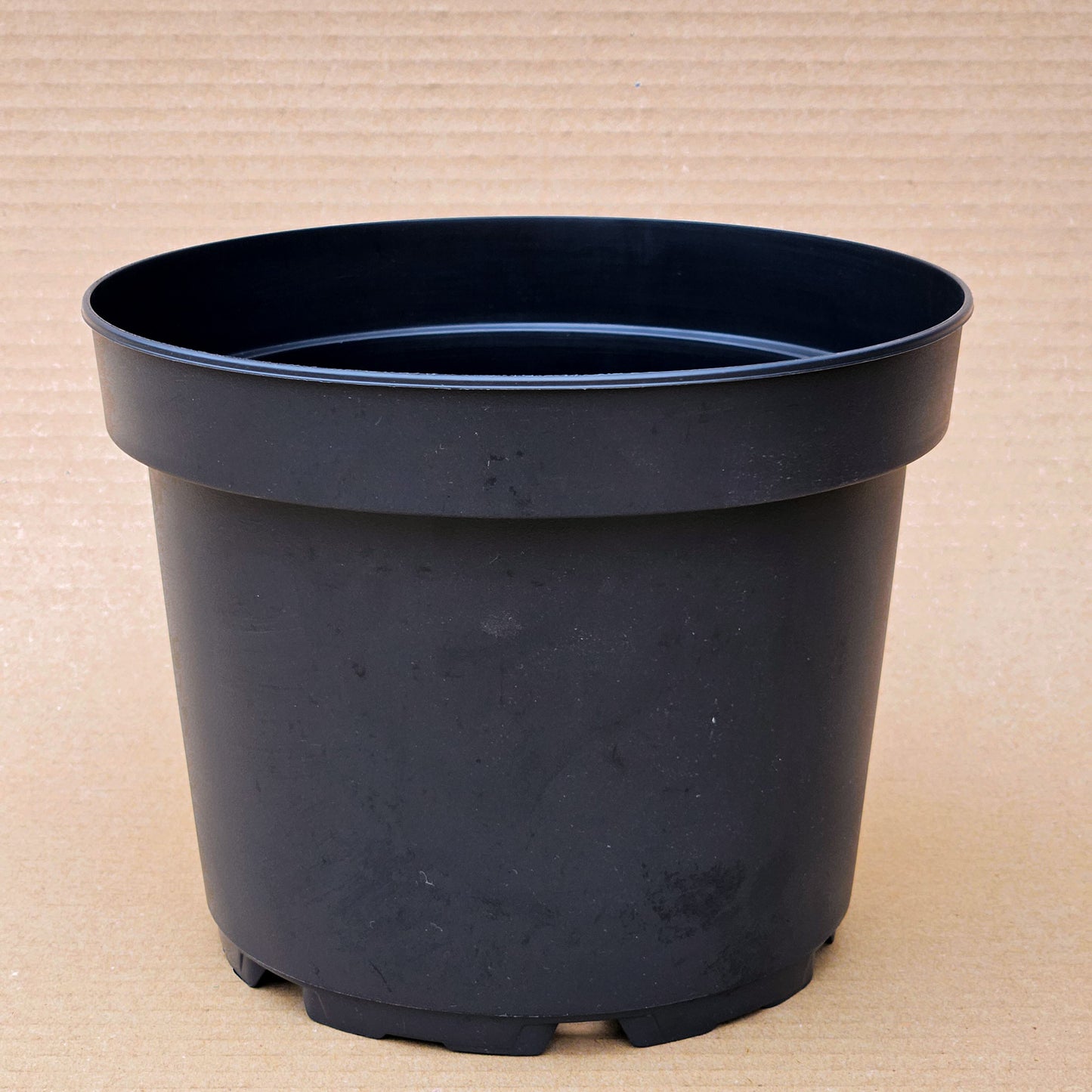 Pack 25 maceteros MCI N°21