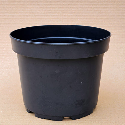 Pack 25 maceteros MCI N°21