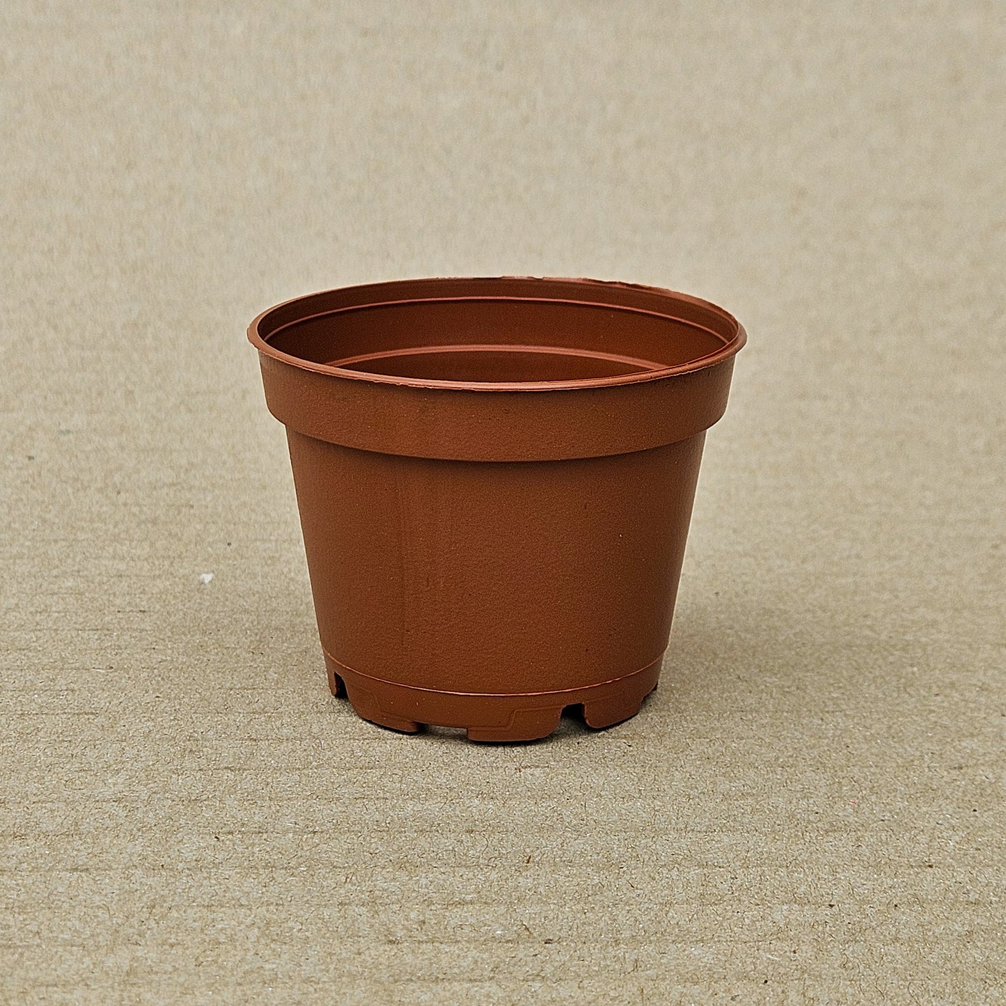 Pack 200 maceteros TO N°6