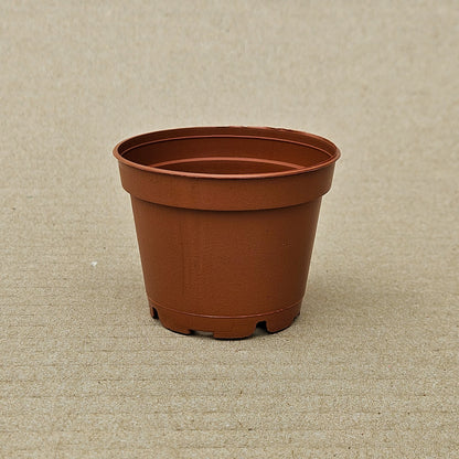 Pack 200 maceteros TO N°6