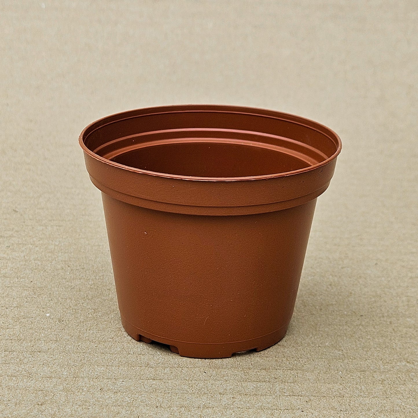 Pack 200 maceteros TO N°8