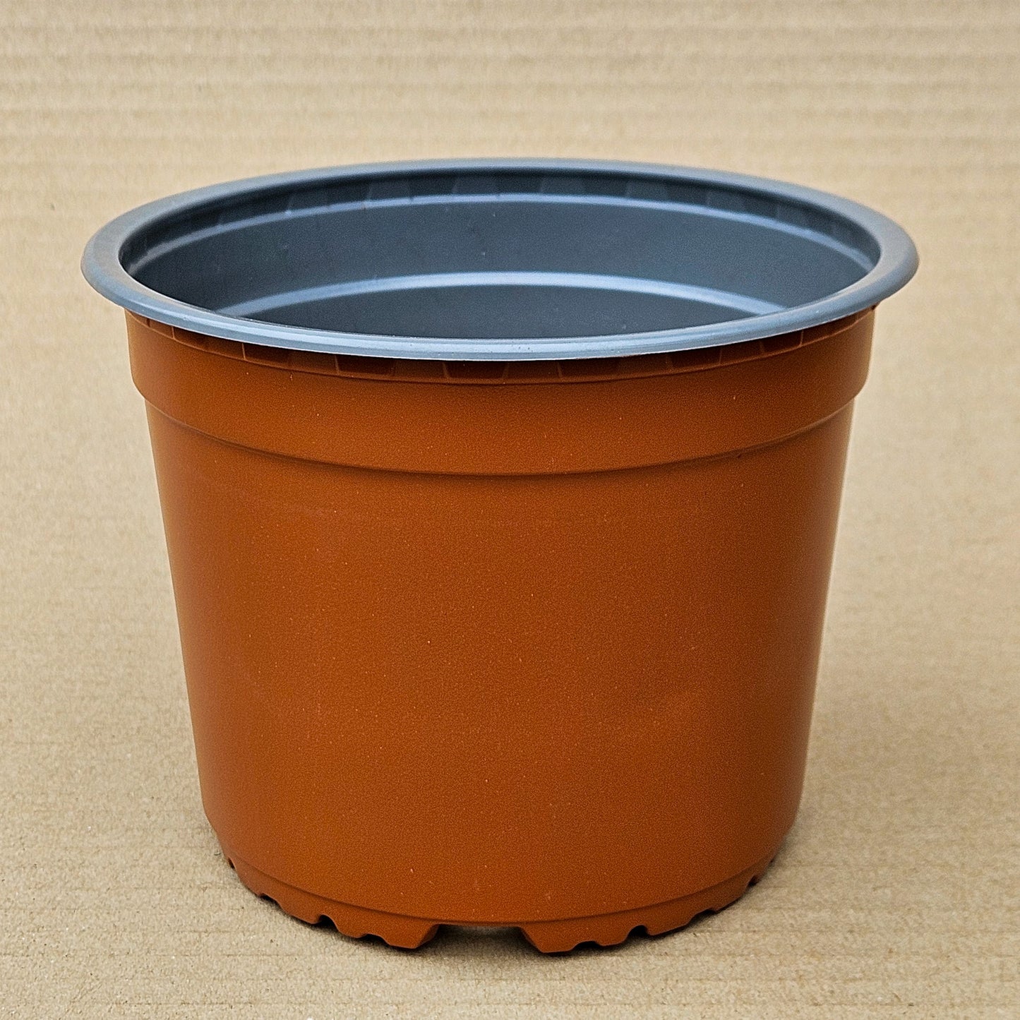 Pack 50 maceteros VCG N°15