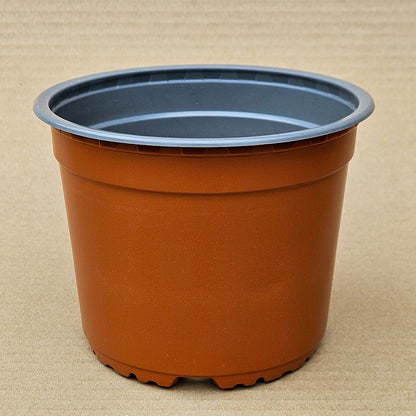 Pack 50 maceteros VCG N°15