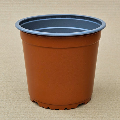 Pack 50 maceteros VCH N°14