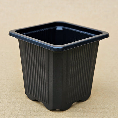 Pack 200 maceteros VQF 7x7x6,5 cm