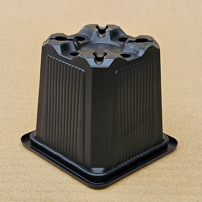 Pack 200 maceteros VQF 7x7x6,5 cm